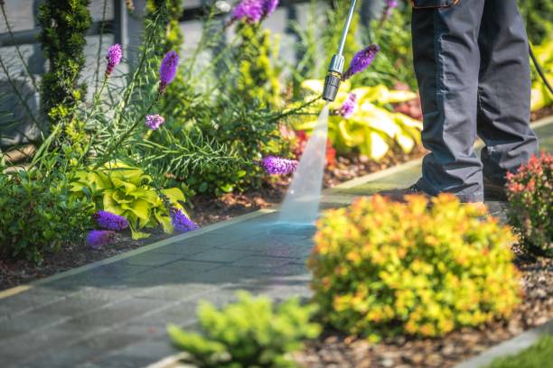 Best Dumpster Area Cleaning  in Downey, CA